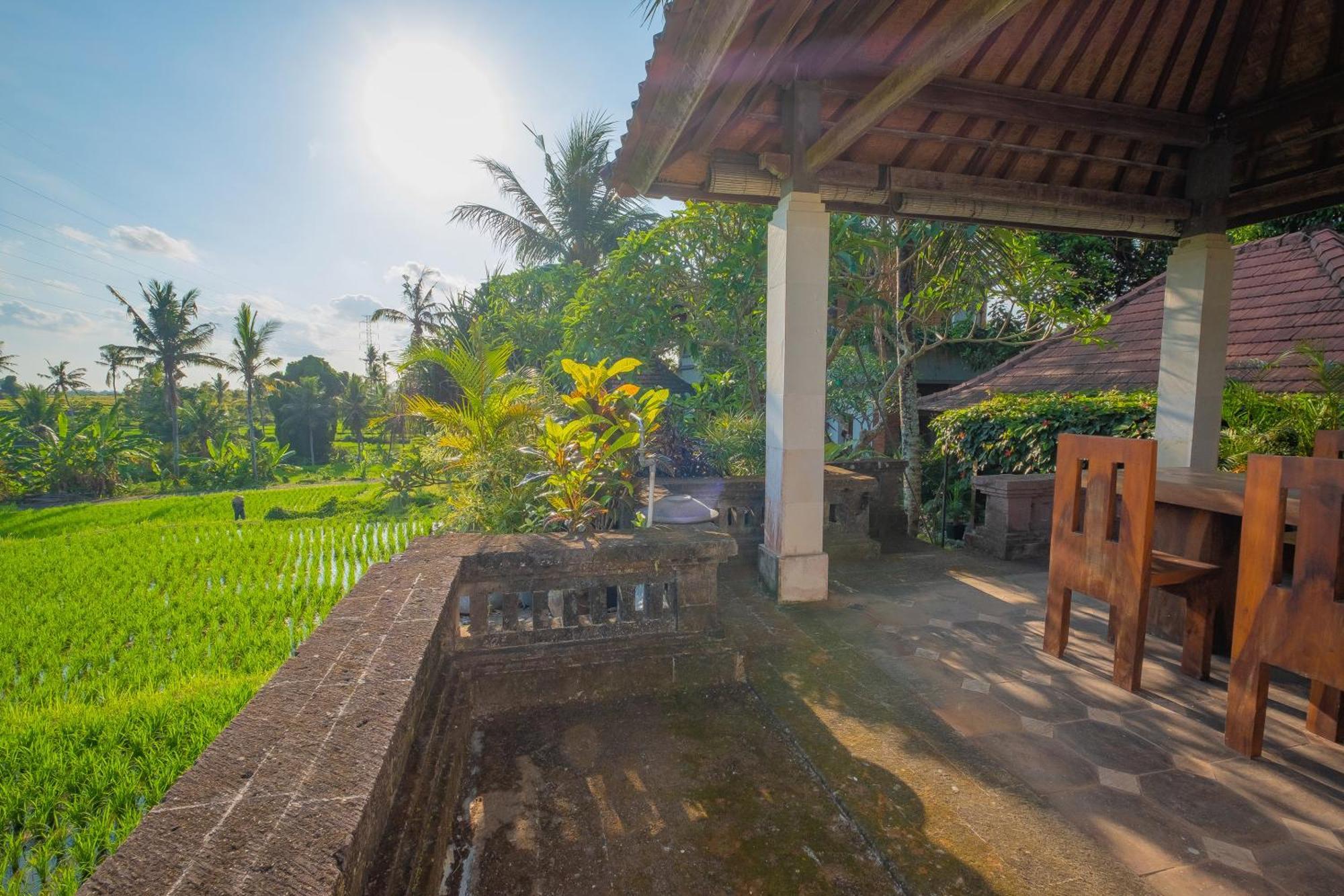 Puri Cili Villa Ubud Buitenkant foto